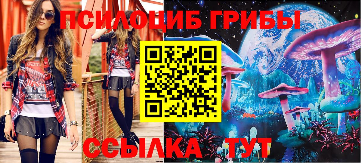 Псилоцибиновые грибы Psilocybe  Вход с VPN  дарнет шоп  Долгопрудный 